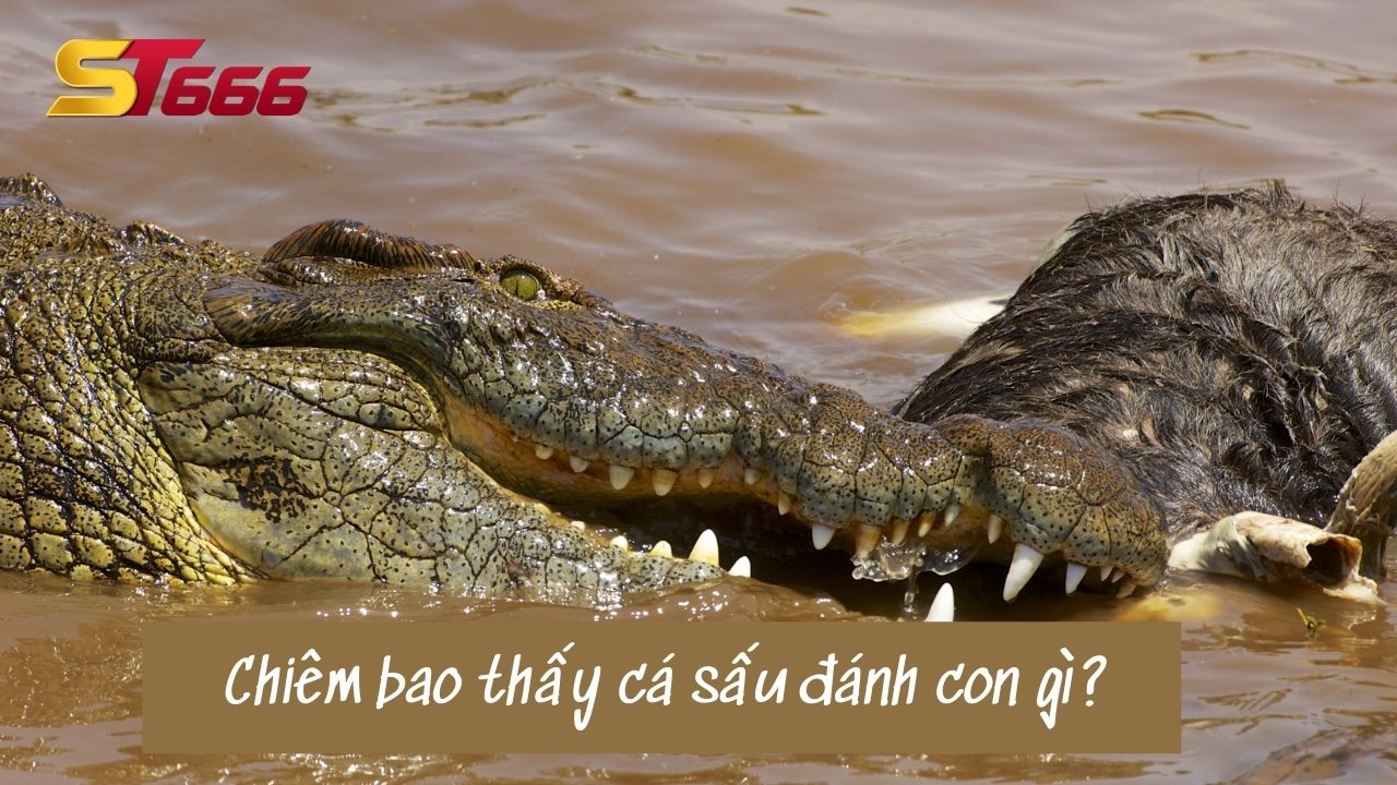 Chiêm bao thấy cá sấu đánh con gì?
