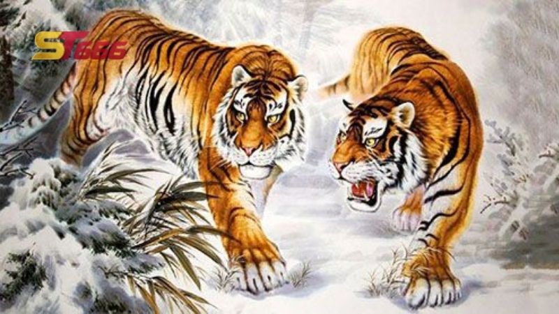 Mơ thấy 2 con hổ cùng săn mồi