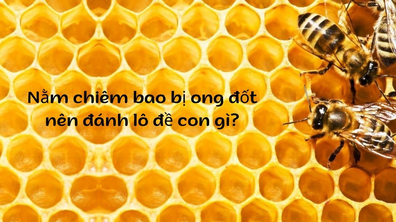 Nằm chiêm bao bị ong đốt nên đánh lô đề con gì?