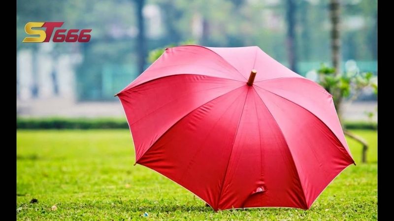 Ý nghĩa việc chiêm bao thấy ô dù?
