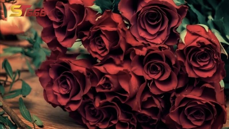 Nằm mơ thấy hoa hồng mang ý nghĩa gì?